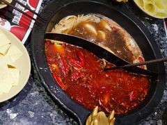 -蜀大侠火锅(森兰花园城店)