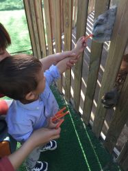 -萌宠亲子动物乐园(槐房万达店)