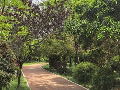 -唐城墙遗址公园