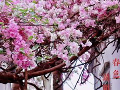 -深圳国际园林花卉博览园