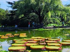 -国家植物园南园