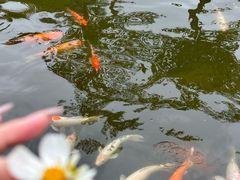 -厦门日月谷温泉渡假村