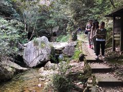 -午潮山国家森林公园