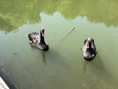 -千岛湖东南湖区