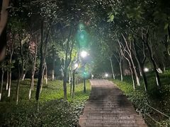 -龙头寺公园