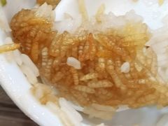 -红星光发煲仔饭(文海店)