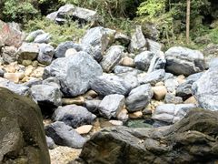 -黄牛肉馆·皖南土菜