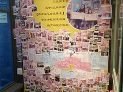 -猫咪博物馆(顶澳仔猫街店)