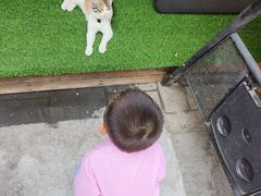 -后海16号·北京私房菜