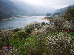 -广州市流溪河国家森林公园