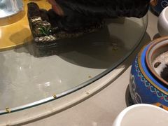 -享月汤皇·海鲜小火锅·聚会(曲江创意谷店)