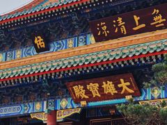 -天津大悲禅院