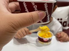 哈根达斯冰淇淋-哈根达斯(皇城恒隆广场店)