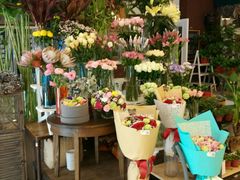 android_upload_pic-白塘生态植物园