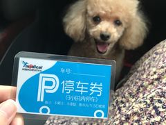 停车券-北京恒爱动物医院(清景园分院)