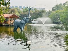 -深圳野生动物园