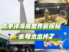 -太平洋海底世界