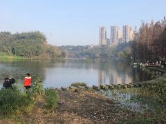 -重庆彩云湖湿地公园