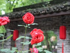 -永泉忆江南12景区