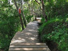 -白草畔自然风景区