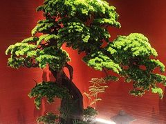 -阿伟海鲜楼·福建菜(延寿店)