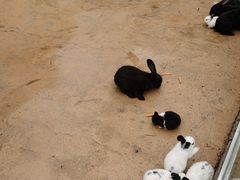 -杭州野生动物世界