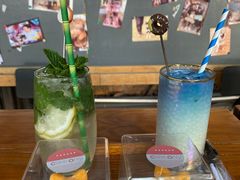 -柴犬高等学院·狗咖·柴犬售卖·宠物训练