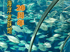 -上海海洋水族馆