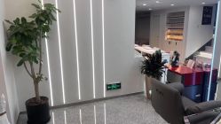 -MINX名珂斯·烫染形象设计