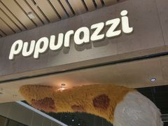 -帕帕拉兹宠物(亚洲旗舰店)