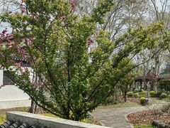 -泰州凤城河风景区-泰山公园