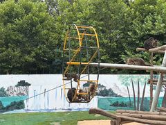 -西霞口神雕山野生动物世界