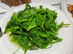清炒豆尖儿-峨嵋酒家总店(车公庄店)