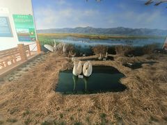 -延庆地质公园博物馆