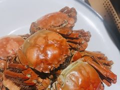 -杨氏青龙虾·羊肉季(金盛路总店)