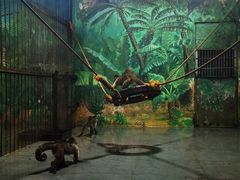 -西安秦岭野生动物园