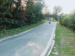 -黄陂区野村谷景区