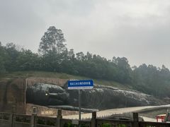 -三水森林公园