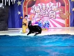 -郑州海洋馆