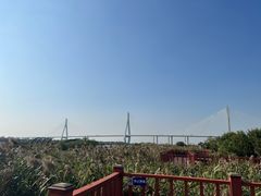 -芒洲湿地公园