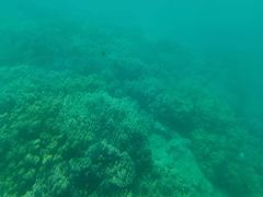 -亚龙湾海底世界