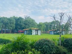 -洪湖家庭农场·团建·露营·会议