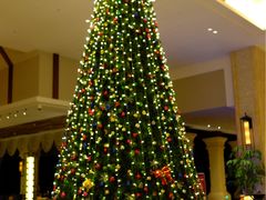 -西双版纳融创皇冠假日度假酒店