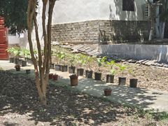 -涵家味土菜馆·徽州一绝臭鳜鱼(三河古镇店)