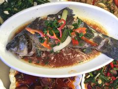 海韵人家-海韵人家.海景花园经典云南菜(双廊店)
