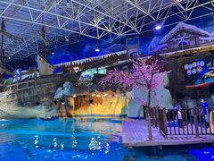 -海合安青岛极地海洋公园