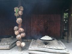 -三亚珠江南田温泉度假区