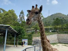 -泉州海丝野生动物世界