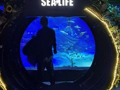 -沈阳海洋探索中心