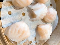 喜喜鲜虾饺-喜喜酒家·纯手工点心·粤菜